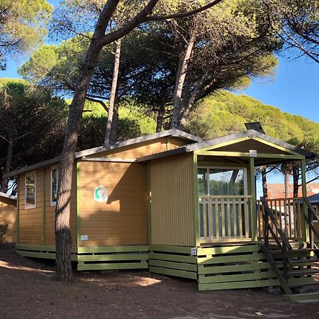 אגדה Camping La Tamarissiere מראה חיצוני תמונה