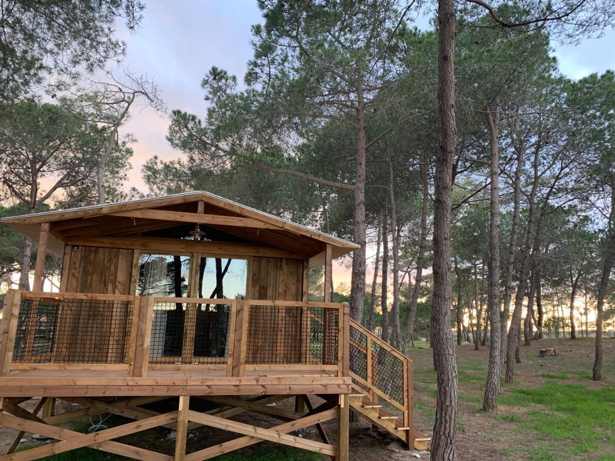 אגדה Camping La Tamarissiere מראה חיצוני תמונה