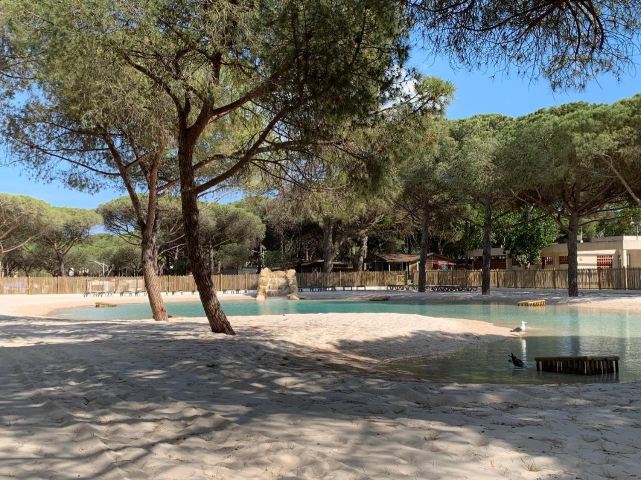 אגדה Camping La Tamarissiere מראה חיצוני תמונה